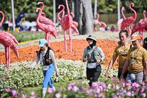 BIB: 
                            <button type="button" onclick="openModal(27793271)" class="btn btn-primary btn-sm float-right btn-popup" data-toggle="modal" data-target=".modal-high-quality">
                        <i class="fas fa-shopping-cart"></i> Add to Cart
                    </button>
                                            <button type="button" onclick="isThisMe(27793271, true)" class="btn btn-success btn-sm float-right btn-popup btn-isme hidden" data-toggle="tooltip" data-placement="bottom" title="นี่คือรูปของคุณใช่ไหม คลิกที่นี่เพื่อเอาเข้าอัลบั้ม">
                        <i class="fas fa-plus"></i> Add to album
                    </button>
                    <button type="button" onclick="isThisMe(27793271, false)" class="btn btn-warning btn-sm float-right btn-popup btn-isnotme hidden">
                        <i class="fas fa-ban"></i> Remove from album
                    </button>